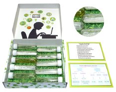 Коллекция Кислоты