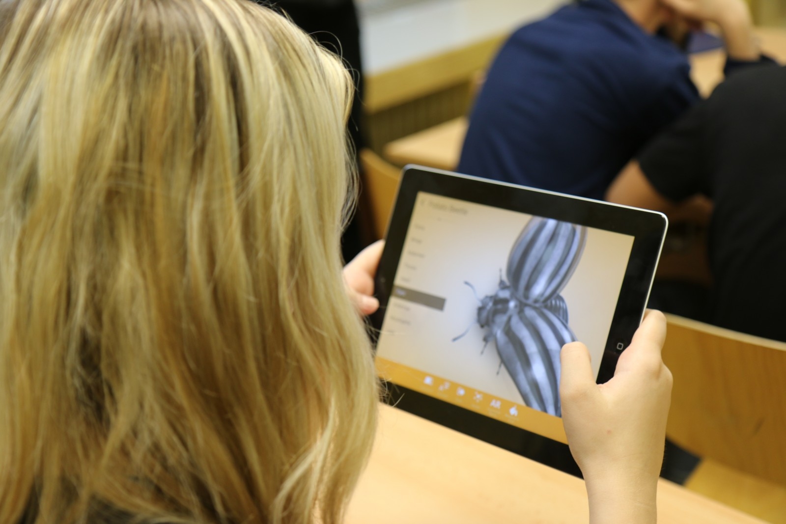 Учебное программное обеспечение Lifeliqe