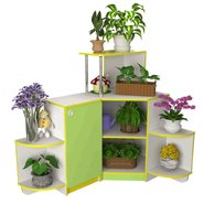 Зеленый уголок