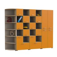 Стенка для учебного кабинета Шахматы