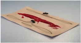 Модель Имитация глубокой рубленой раны