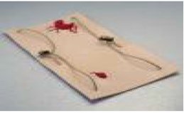 Модель Імітація вогнепального поранення