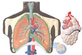 Барельефные модели 