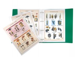 Набор Ядовитые грибы и растения