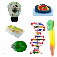 Биология Базовый