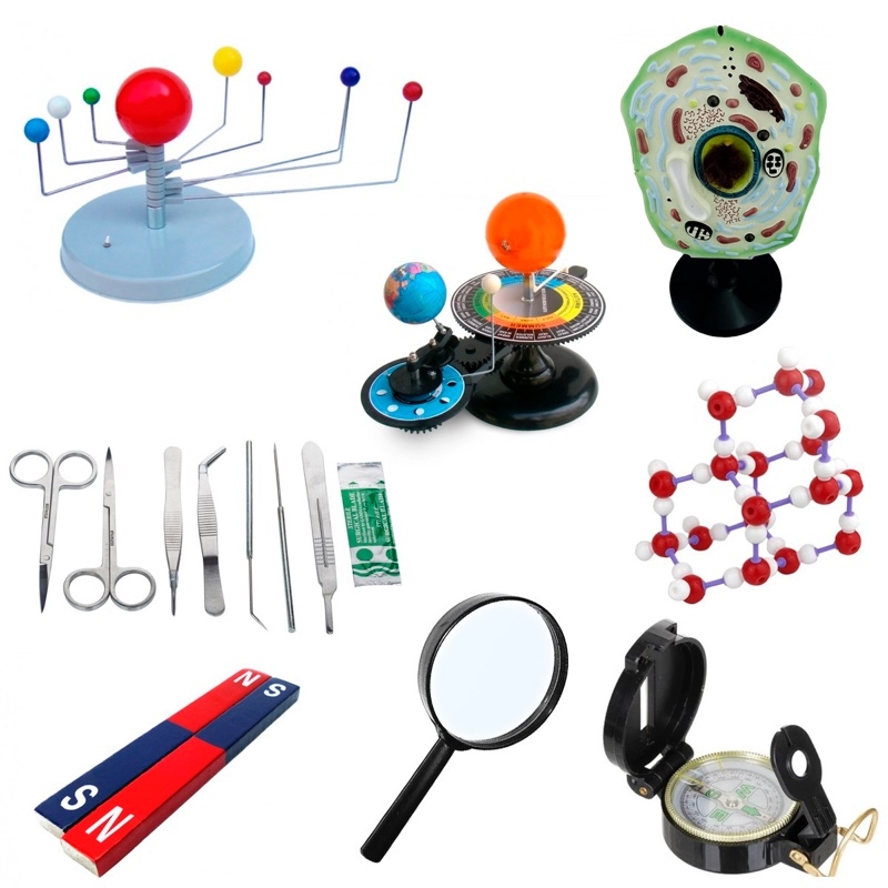 Познаем природу 