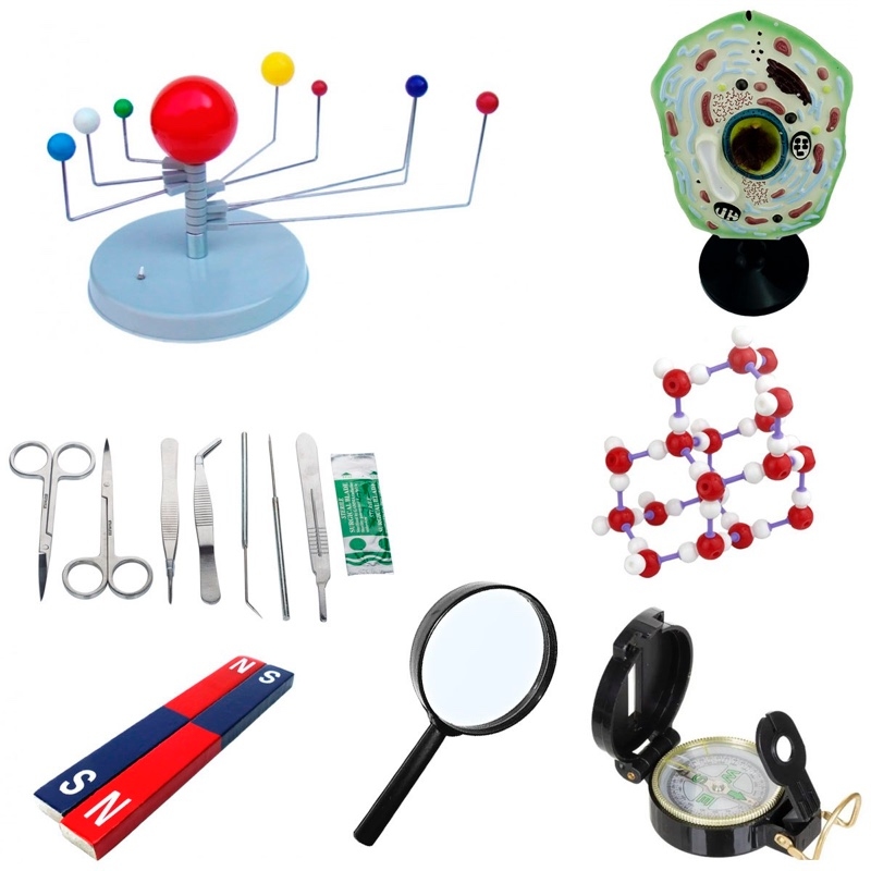 Познаем природу 