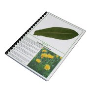 Гербарий Систематика растений. Высшие споровые и семенные растения