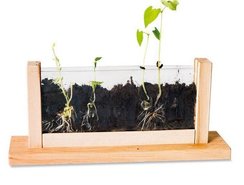 Лаборатория для наблюдения за растениями