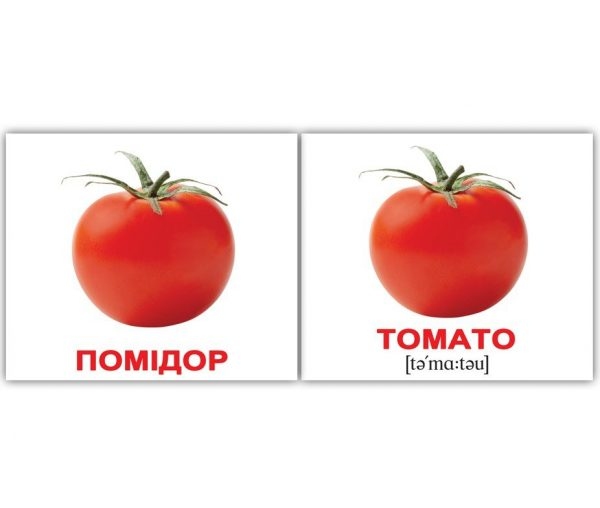 Мегачемодан: большой набор карточек для изучения английского языка