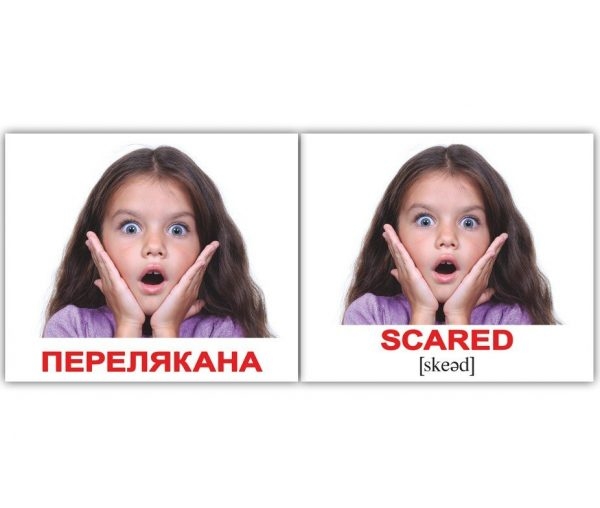 Мегачемодан: большой набор карточек для изучения английского языка