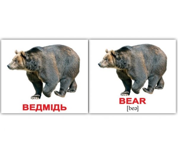 Чемоданчик: набор карточек для изучения английского языка