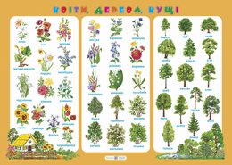 Комплект плакатов Живая природа