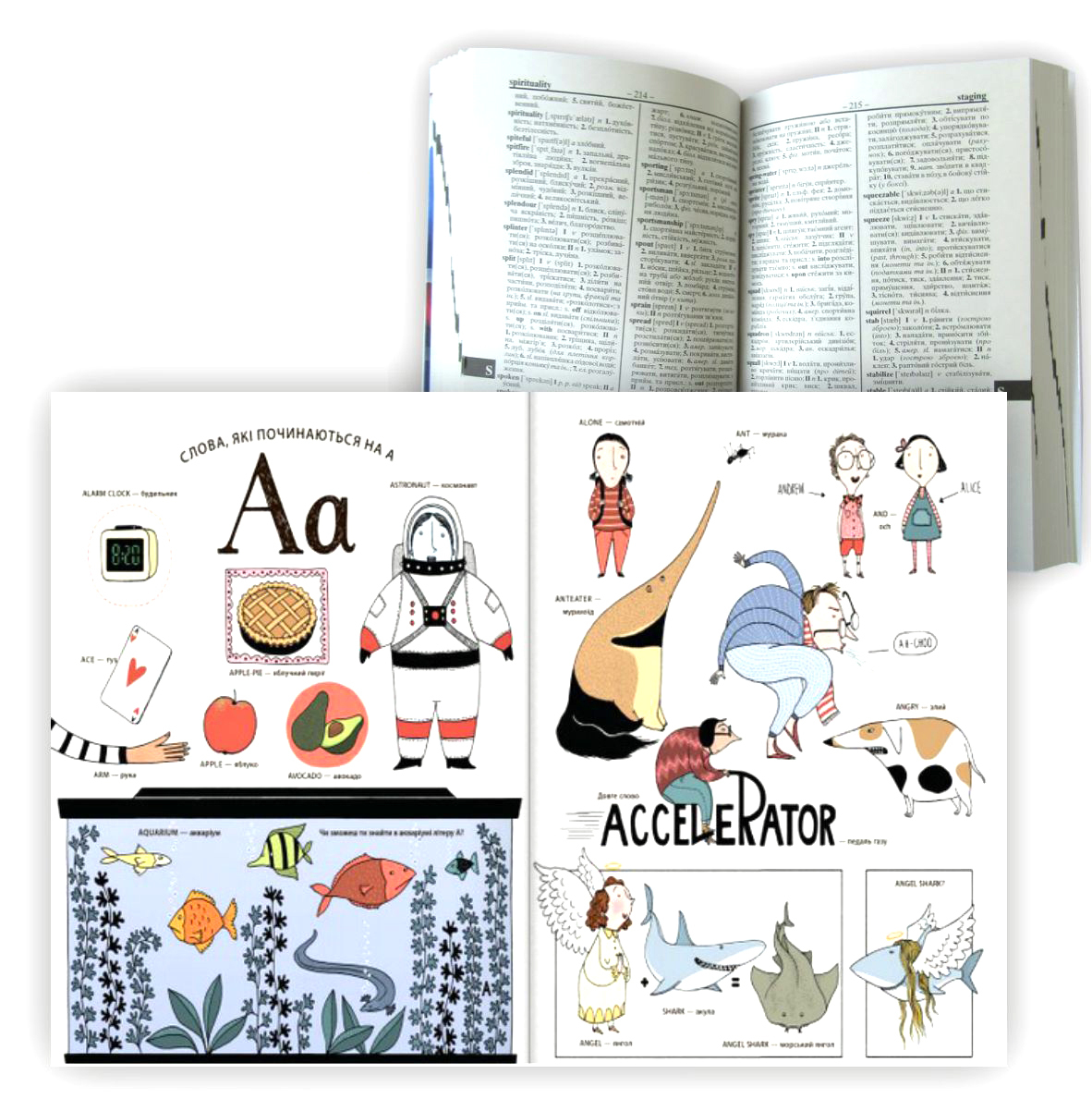 Классный набор иллюстрированных словарей